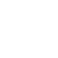 Vetto